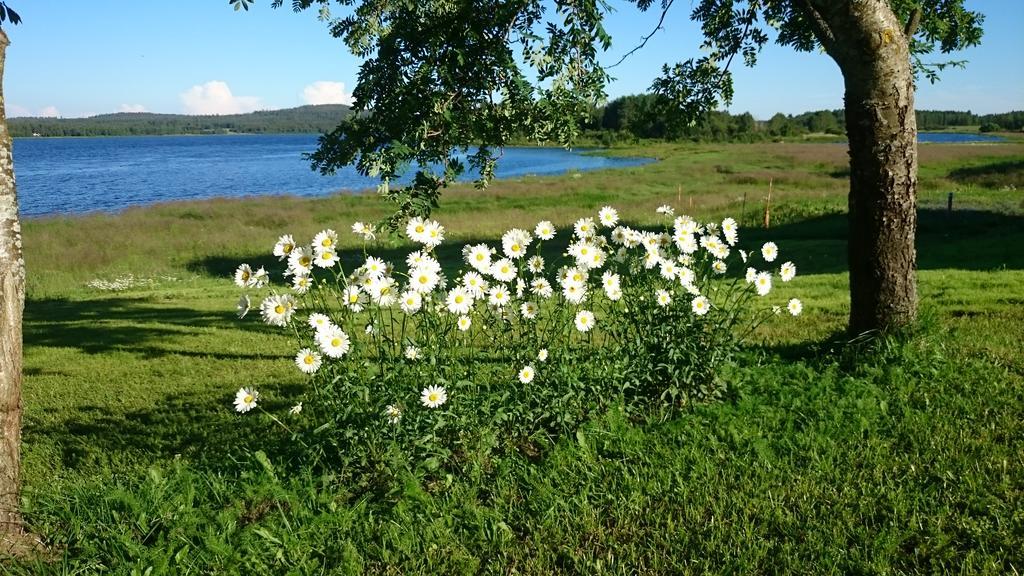 הוילה Korpikylä Nivagarden מראה חיצוני תמונה