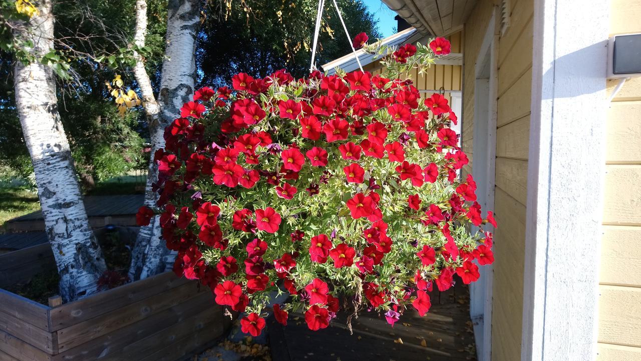 הוילה Korpikylä Nivagarden מראה חיצוני תמונה